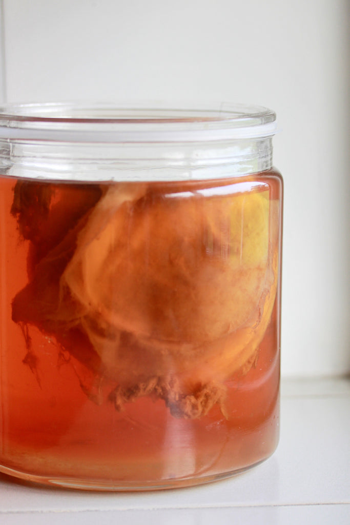 Unleashing the Power of Kombucha: 5 Surprising Health Benefits You Need to Know