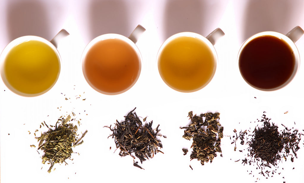 Kombucha Brewing: Everything Tea